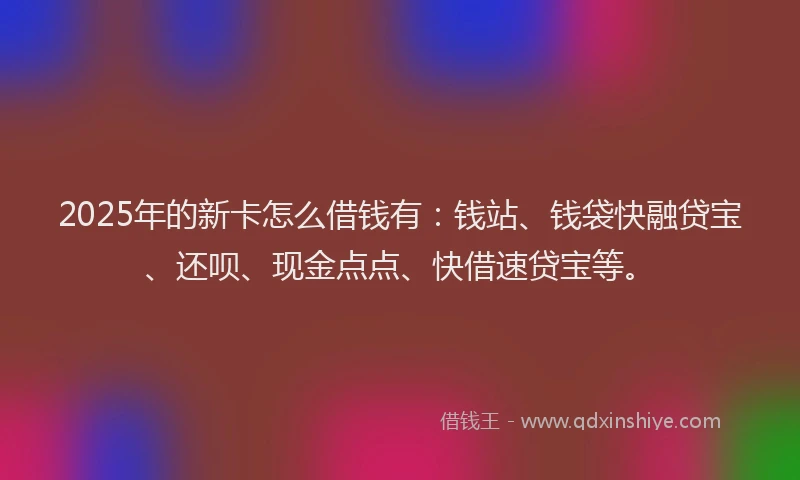 2025年的新卡怎么借钱有：钱站、钱袋快融贷宝、还呗、现金点点、快借速贷宝等。