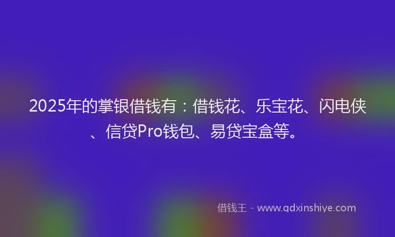 2025年的掌银借钱有：借钱花、乐宝花、闪电侠、信贷Pro钱包、易贷宝盒等。