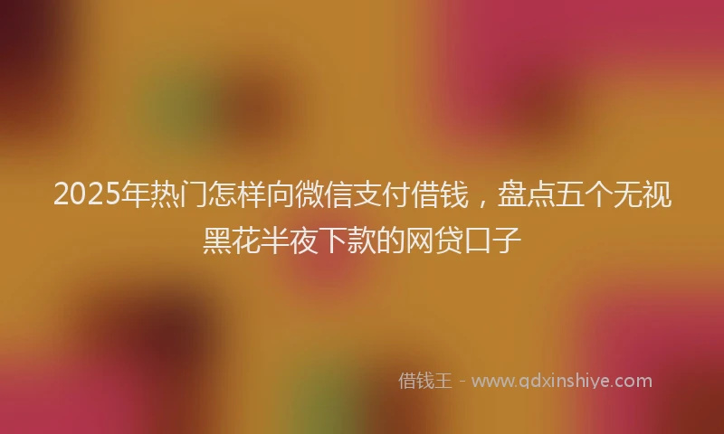 2025年热门怎样向微信支付借钱，盘点五个无视黑花半夜下款的网贷口子