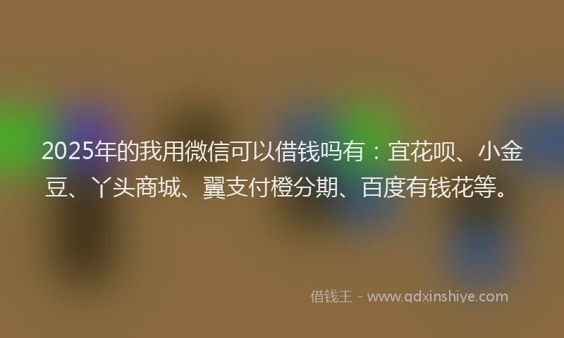 2025年的我用微信可以借钱吗有：宜花呗、小金豆、丫头商城、翼支付橙分期、百度有钱花等。