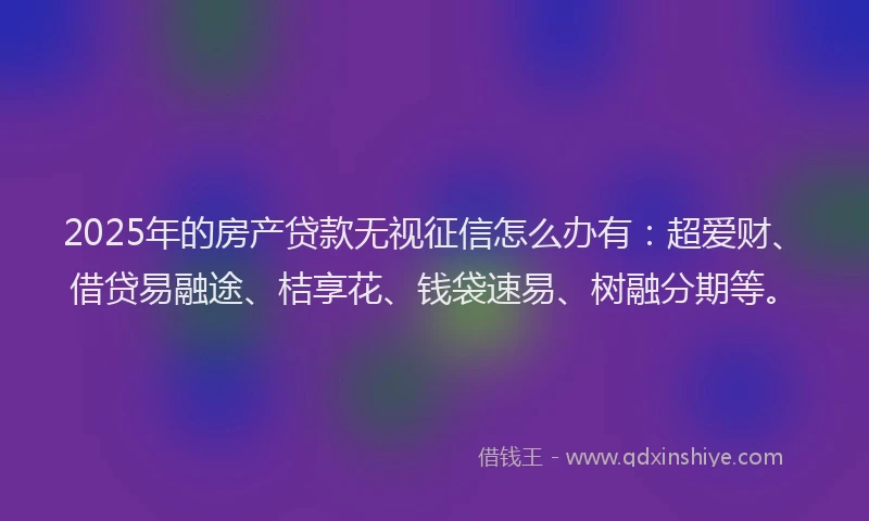 2025年的房产贷款无视征信怎么办有：超爱财、借贷易融途、桔享花、钱袋速易、树融分期等。