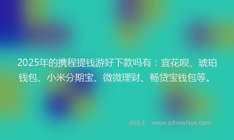 2025年的携程提钱游好下款吗有：宜花呗、琥珀钱包、小米分期宝、微微理财、畅贷宝钱包等。