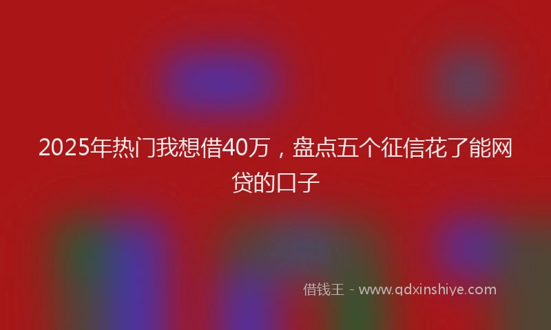 2025年热门我想借40万，盘点五个征信花了能网贷的口子
