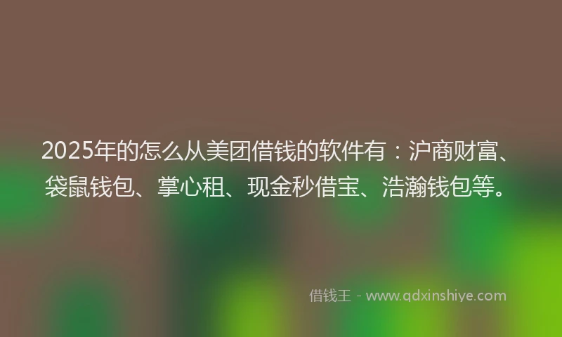 2025年的怎么从美团借钱的软件有：沪商财富、袋鼠钱包、掌心租、现金秒借宝、浩瀚钱包等。