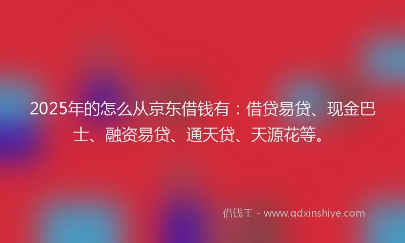 2025年的怎么从京东借钱有：借贷易贷、现金巴士、融资易贷、通天贷、天源花等。