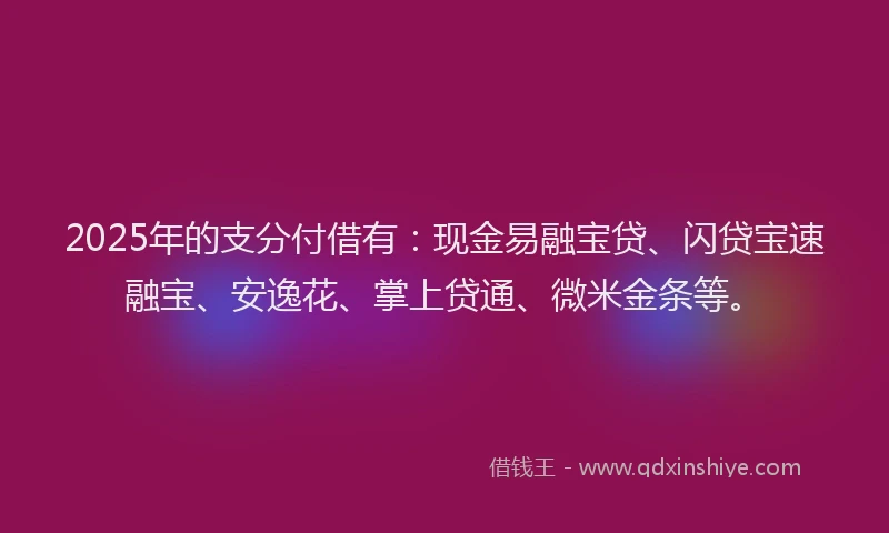 2025年的支分付借有：现金易融宝贷、闪贷宝速融宝、安逸花、掌上贷通、微米金条等。