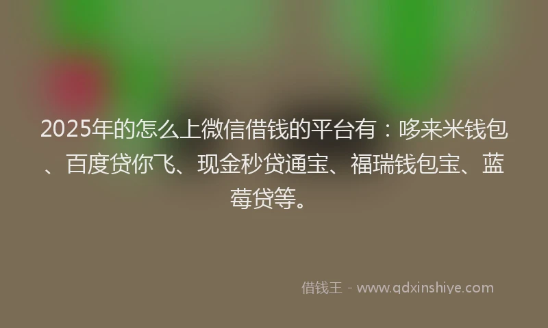 2025年的怎么上微信借钱的平台有：哆来米钱包、百度贷你飞、现金秒贷通宝、福瑞钱包宝、蓝莓贷等。