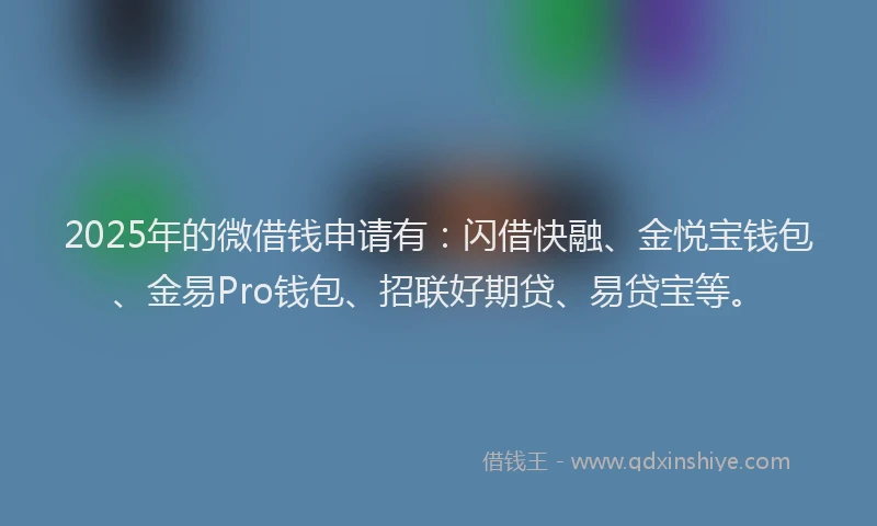 2025年的微借钱申请有：闪借快融、金悦宝钱包、金易Pro钱包、招联好期贷、易贷宝等。