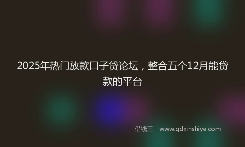 2025年热门放款口子贷论坛，整合五个12月能贷款的平台