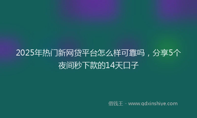 2025年热门新网贷平台怎么样可靠吗，分享5个夜间秒下款的14天口子