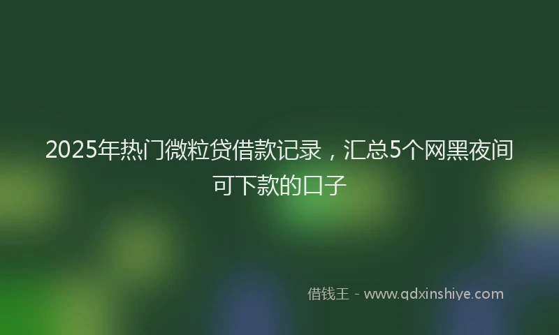 2025年热门微粒贷借款记录，汇总5个网黑夜间可下款的口子