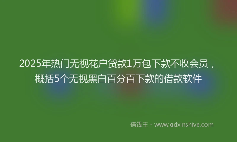 2025年热门无视花户贷款1万包下款不收会员，概括5个无视黑白百分百下款的借款软件
