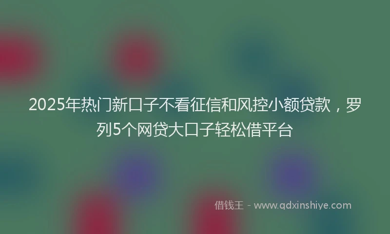 2025年热门新口子不看征信和风控小额贷款，罗列5个网贷大口子轻松借平台