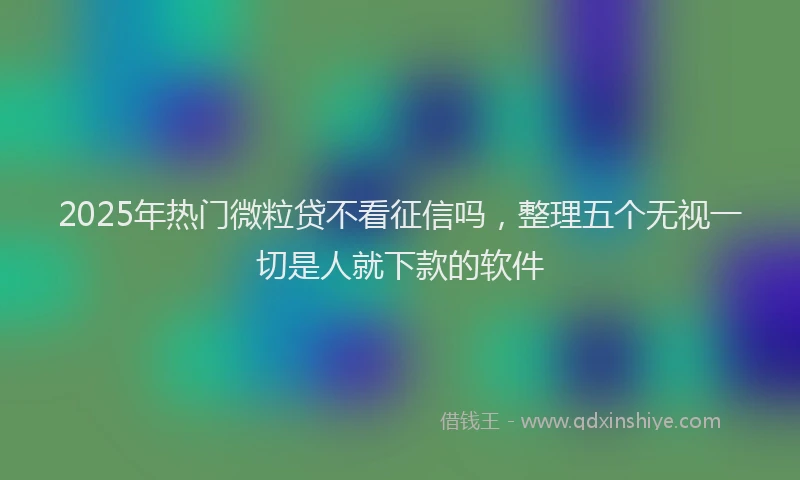 2025年热门微粒贷不看征信吗，整理五个无视一切是人就下款的软件