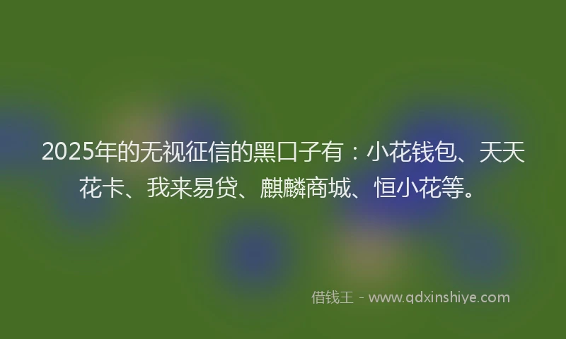 2025年的无视征信的黑口子有：小花钱包、天天花卡、我来易贷、麒麟商城、恒小花等。