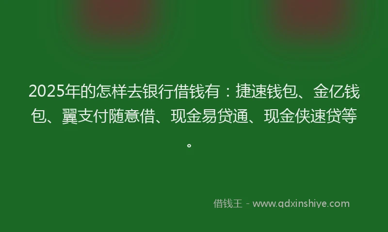 2025年的怎样去银行借钱有：捷速钱包、金亿钱包、翼支付随意借、现金易贷通、现金侠速贷等。