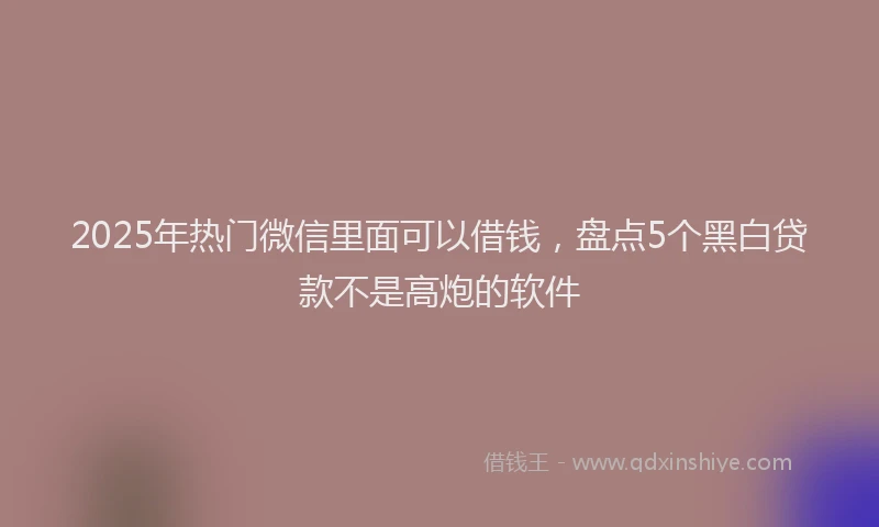 2025年热门微信里面可以借钱，盘点5个黑白贷款不是高炮的软件