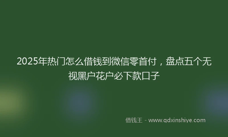 2025年热门怎么借钱到微信零首付，盘点五个无视黑户花户必下款口子