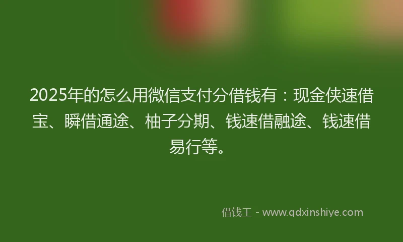 2025年的怎么用微信支付分借钱有：现金侠速借宝、瞬借通途、柚子分期、钱速借融途、钱速借易行等。