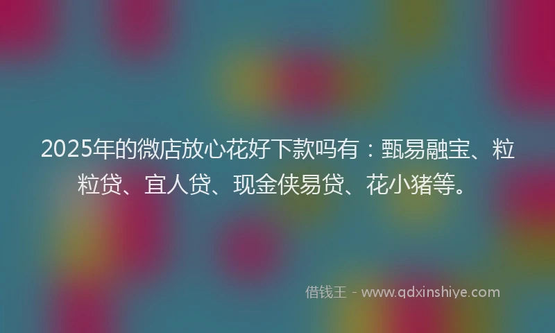 2025年的微店放心花好下款吗有：甄易融宝、粒粒贷、宜人贷、现金侠易贷、花小猪等。