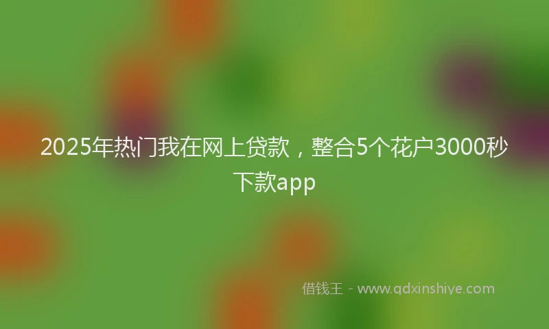 2025年热门我在网上贷款，整合5个花户3000秒下款app