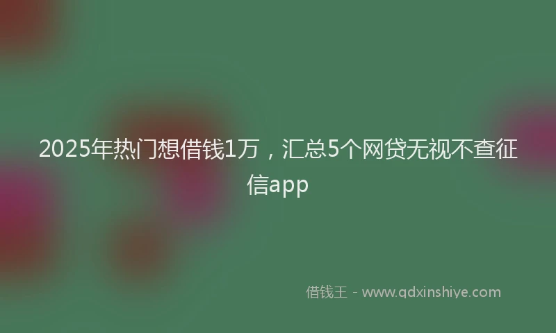 2025年热门想借钱1万，汇总5个网贷无视不查征信app