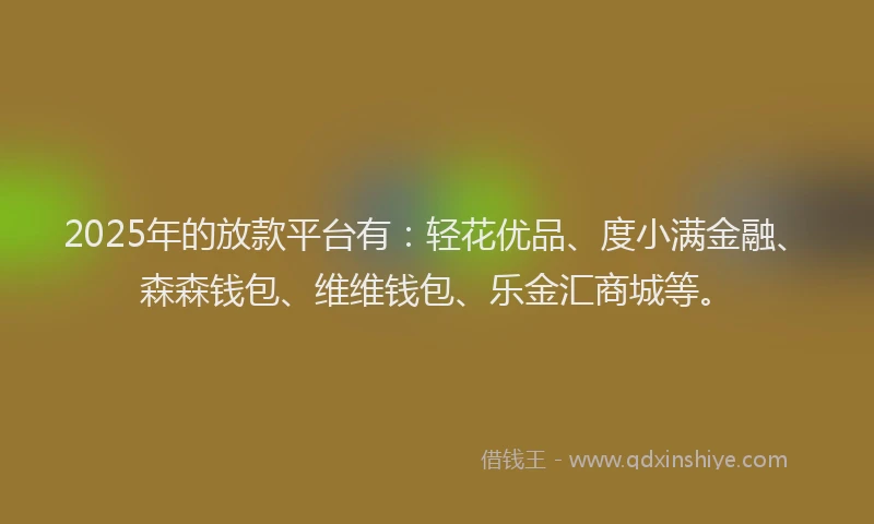 2025年的放款平台有：轻花优品、度小满金融、森森钱包、维维钱包、乐金汇商城等。