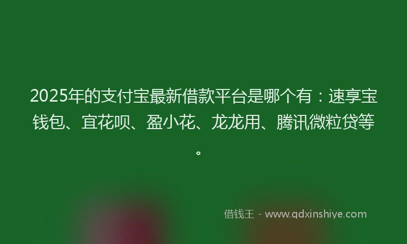 2025年的支付宝最新借款平台是哪个有：速享宝钱包、宜花呗、盈小花、龙龙用、腾讯微粒贷等。