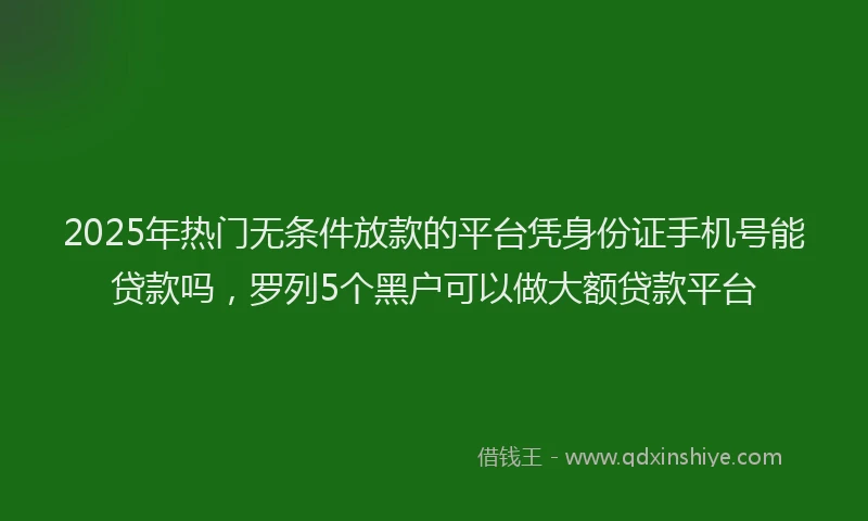 2025年热门无条件放款的平台凭身份证手机号能贷款吗，罗列5个黑户可以做大额贷款平台