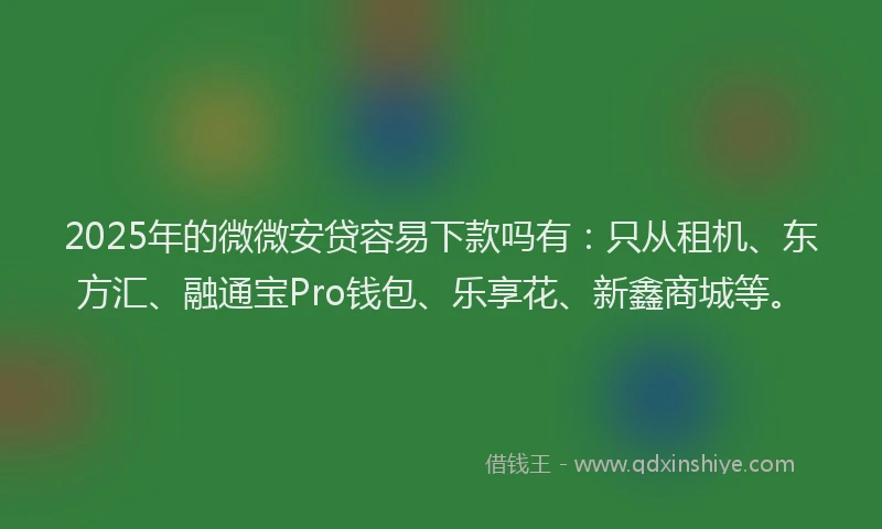 2025年的微微安贷容易下款吗有：只从租机、东方汇、融通宝Pro钱包、乐享花、新鑫商城等。