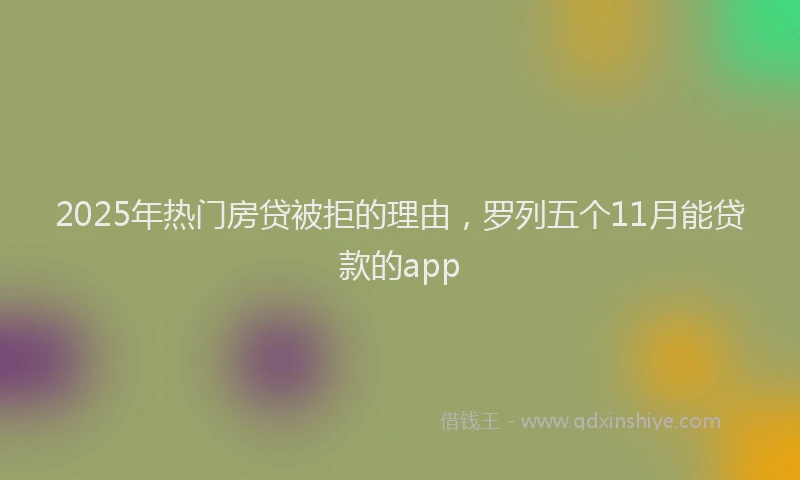 2025年热门房贷被拒的理由，罗列五个11月能贷款的app