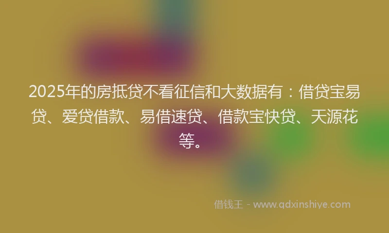 2025年的房抵贷不看征信和大数据有：借贷宝易贷、爱贷借款、易借速贷、借款宝快贷、天源花等。