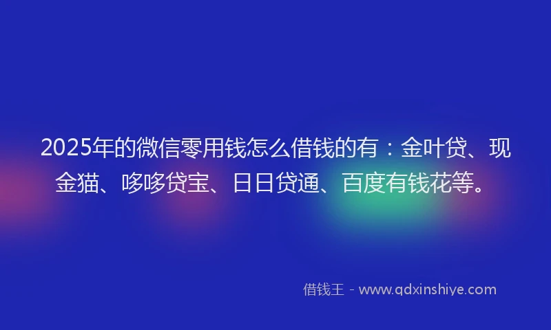 2025年的微信零用钱怎么借钱的有：金叶贷、现金猫、哆哆贷宝、日日贷通、百度有钱花等。