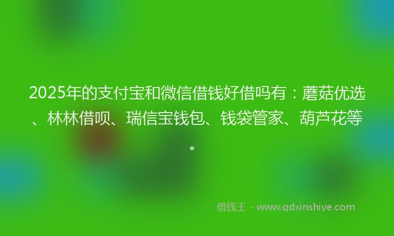 2025年的支付宝和微信借钱好借吗有：蘑菇优选、林林借呗、瑞信宝钱包、钱袋管家、葫芦花等。