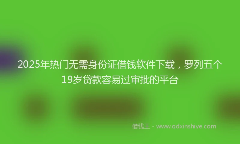 2025年热门无需身份证借钱软件下载，罗列五个19岁贷款容易过审批的平台