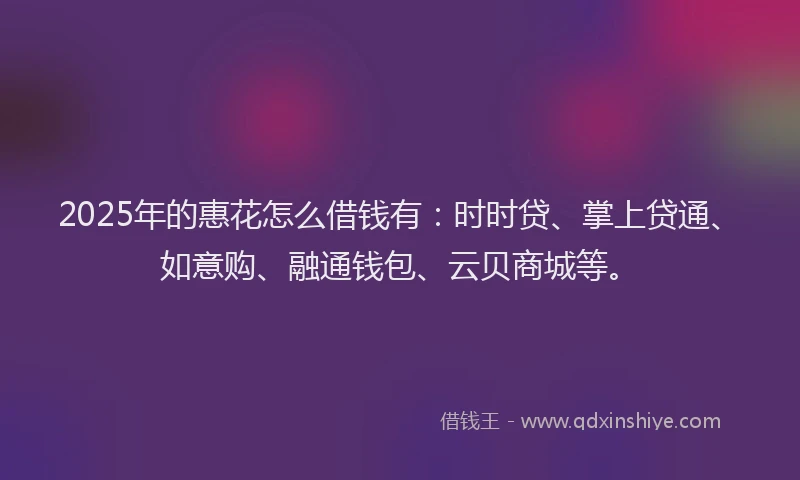 2025年的惠花怎么借钱有：时时贷、掌上贷通、如意购、融通钱包、云贝商城等。