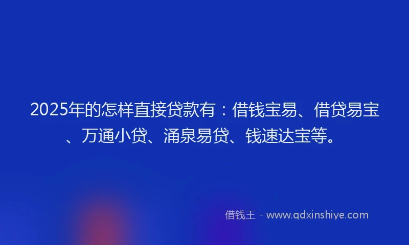 2025年的怎样直接贷款有：借钱宝易、借贷易宝、万通小贷、涌泉易贷、钱速达宝等。