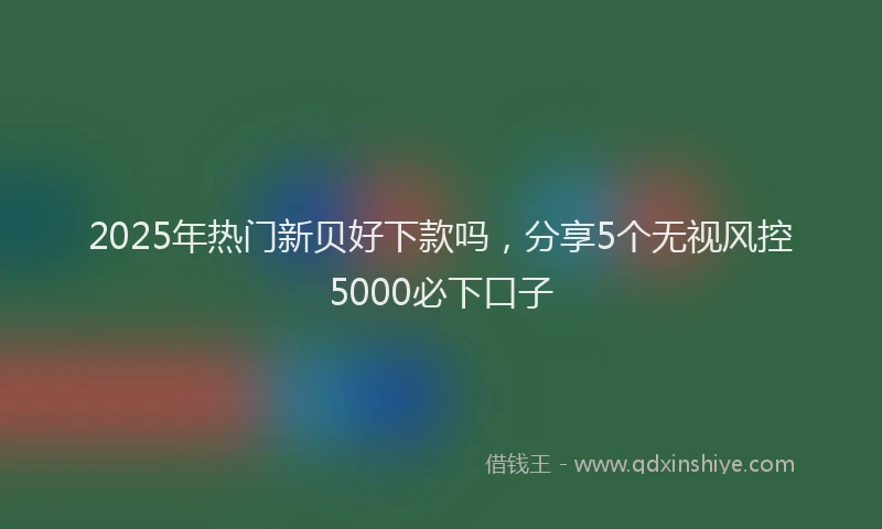 2025年热门新贝好下款吗，分享5个无视风控5000必下口子