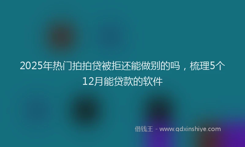 2025年热门拍拍贷被拒还能做别的吗，梳理5个12月能贷款的软件