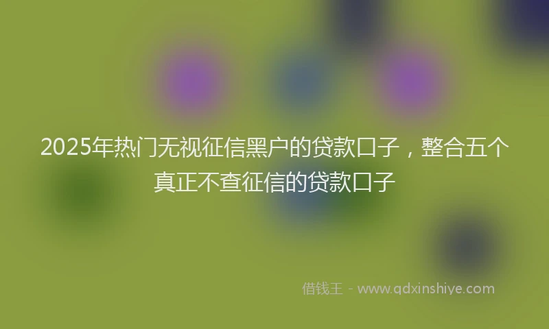 2025年热门无视征信黑户的贷款口子，整合五个真正不查征信的贷款口子