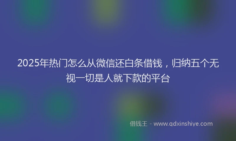 2025年热门怎么从微信还白条借钱，归纳五个无视一切是人就下款的平台