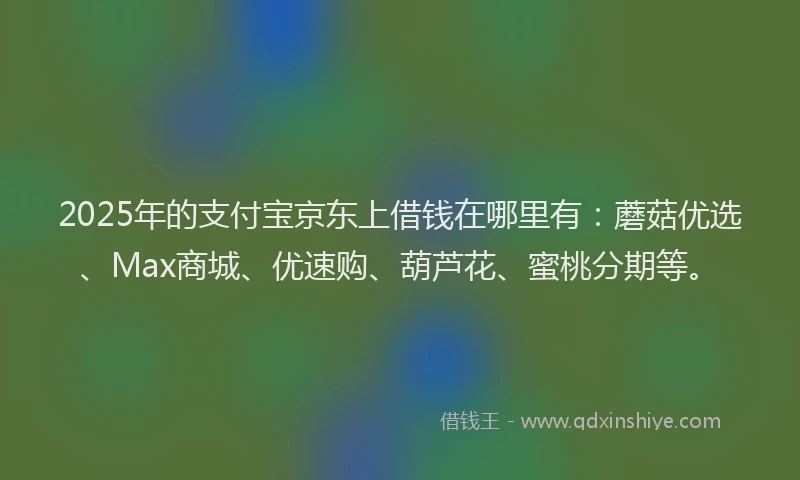 2025年的支付宝京东上借钱在哪里有：蘑菇优选、Max商城、优速购、葫芦花、蜜桃分期等。