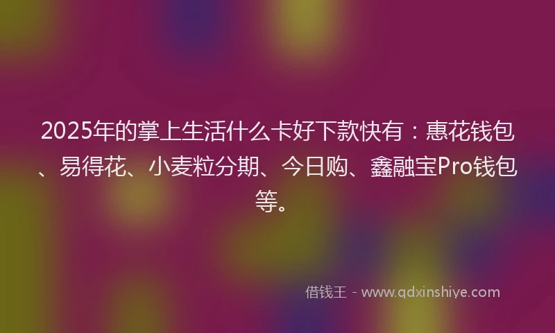 2025年的掌上生活什么卡好下款快有：惠花钱包、易得花、小麦粒分期、今日购、鑫融宝Pro钱包等。