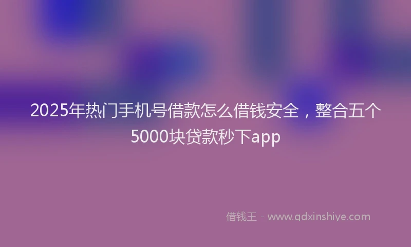 2025年热门手机号借款怎么借钱安全，整合五个5000块贷款秒下app