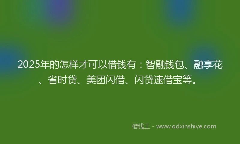 2025年的怎样才可以借钱有：智融钱包、融享花、省时贷、美团闪借、闪贷速借宝等。