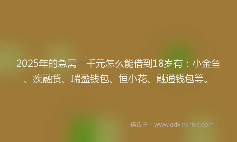 2025年的急需一千元怎么能借到18岁有：小金鱼、疾融贷、瑞盈钱包、恒小花、融通钱包等。
