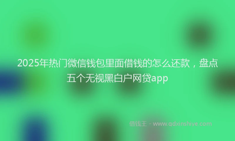 2025年热门微信钱包里面借钱的怎么还款，盘点五个无视黑白户网贷app