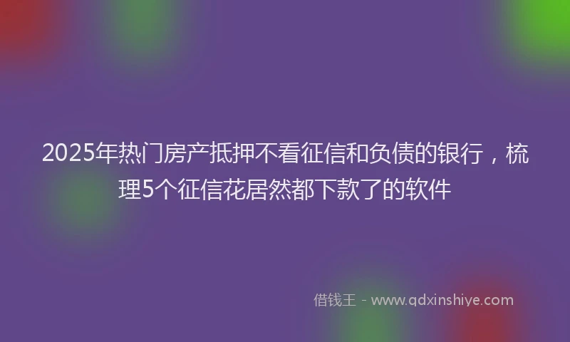 2025年热门房产抵押不看征信和负债的银行，梳理5个征信花居然都下款了的软件