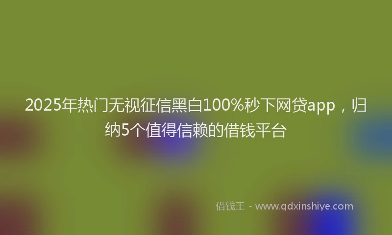 2025年热门无视征信黑白100%秒下网贷app，归纳5个值得信赖的借钱平台