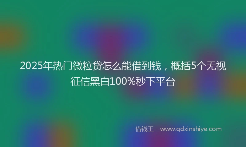 2025年热门微粒贷怎么能借到钱，概括5个无视征信黑白100%秒下平台